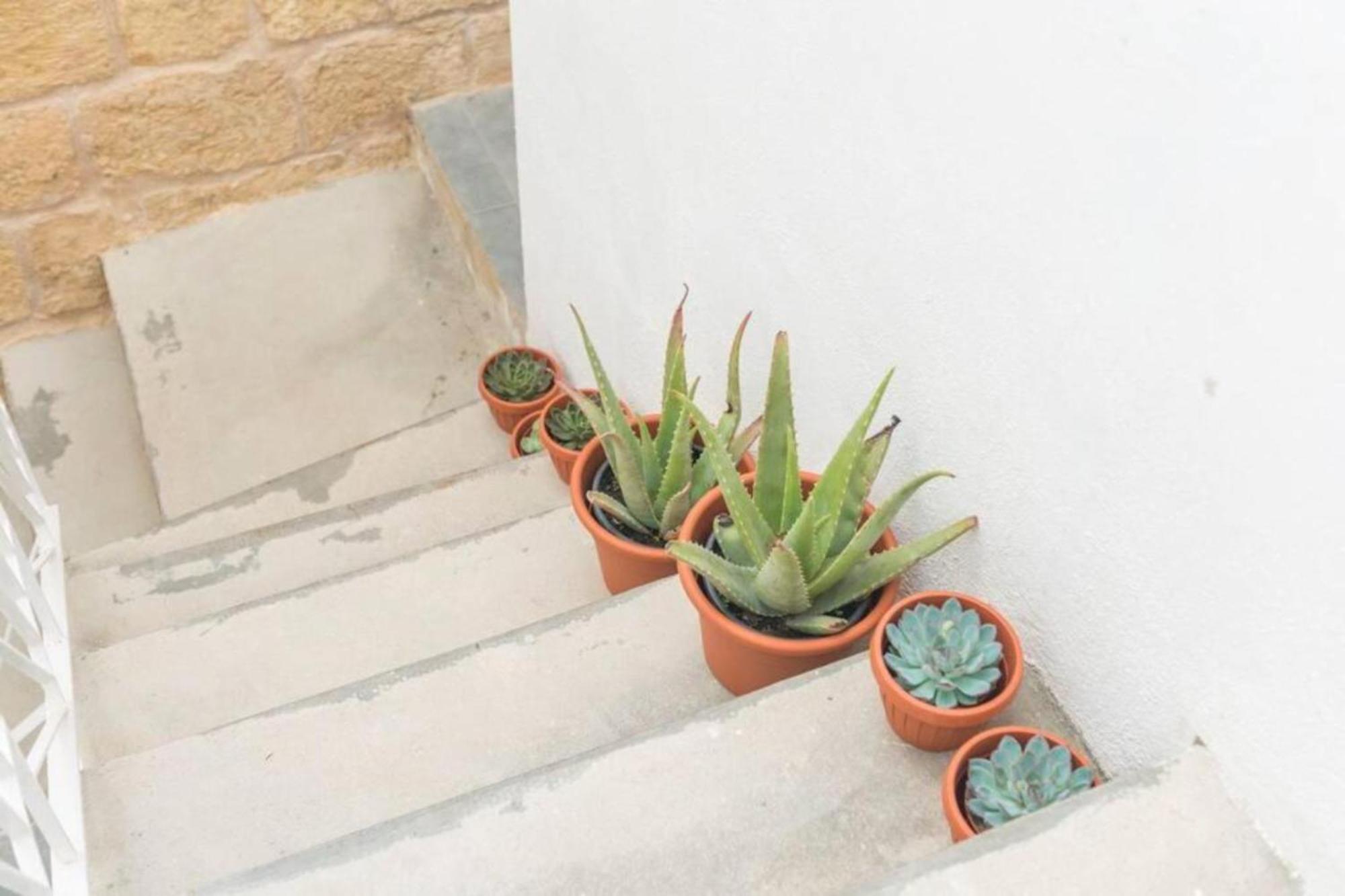Authentic Gf Apartment With Terrace At The 3 Cities Marina Cospicua Exterior photo